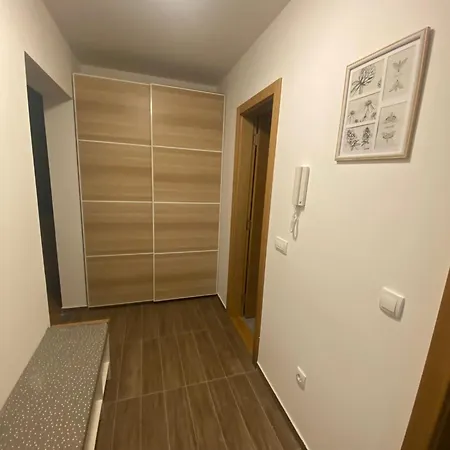 Coco Leo - Mona Zlatibor